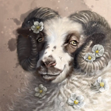 Godvær